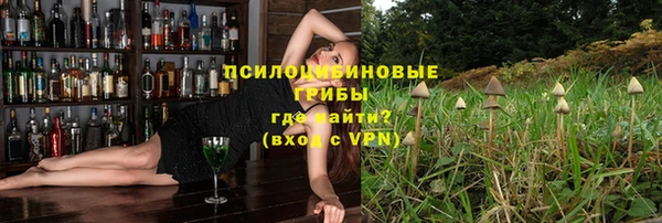 стаф Волоколамск