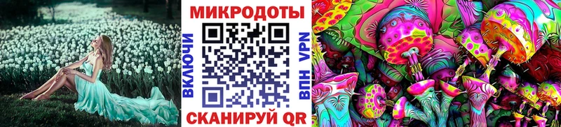 где найти наркотики  Ковров  Псилоцибиновые грибы MAGIC MUSHROOMS 