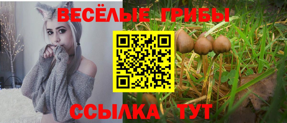 Псилоцибиновые грибы Magic Shrooms  Вход с VPN  Ковров 