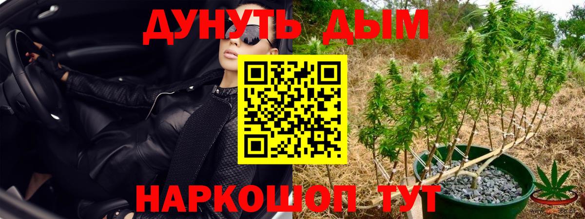 Бошки марихуана семена Ковров